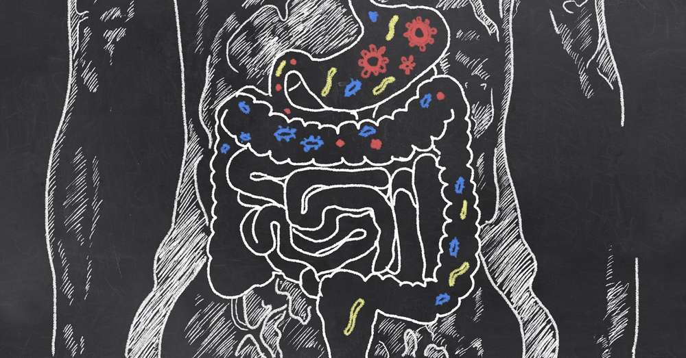 6 načina za vraćanje crijevne mikroflore kako stvoriti idealne uvjete za 100 milijardi dobrih mikroba /  bakterija
