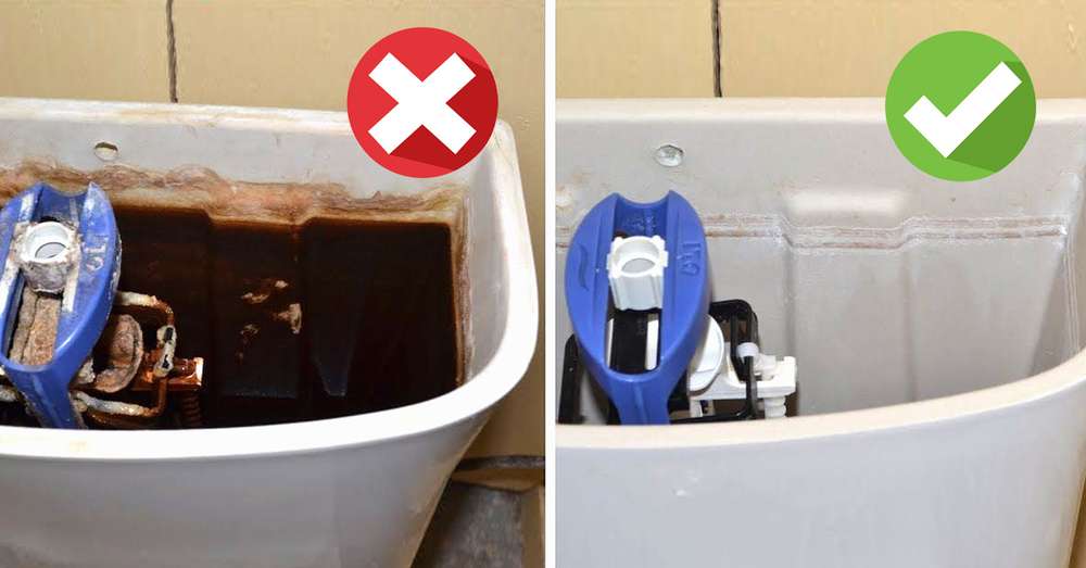 Splošno čiščenje WC školjke! Podrobno pojasnjujemo, kako doseči popolno čistočo. /  Hiša