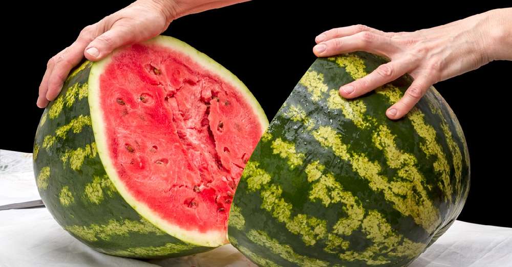 Ako si vybrať zrelý melón /  vodný melón