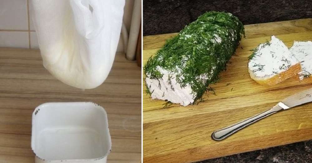 М'який вершковий сир із замороженого кефіру і зелені - ідеальна швидка закуска /  закуски