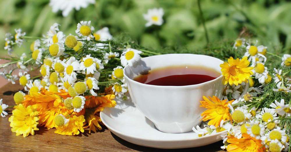Byliny a kvety miesto čaju a kávy /  nápoje