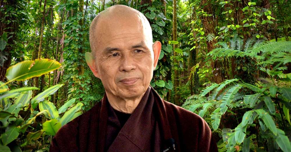 Vietnamski menih Moja starost je 91, prosim ne čakajte na vreme ob morju, pojdite na dopust v nujnih primerih /  Ženske