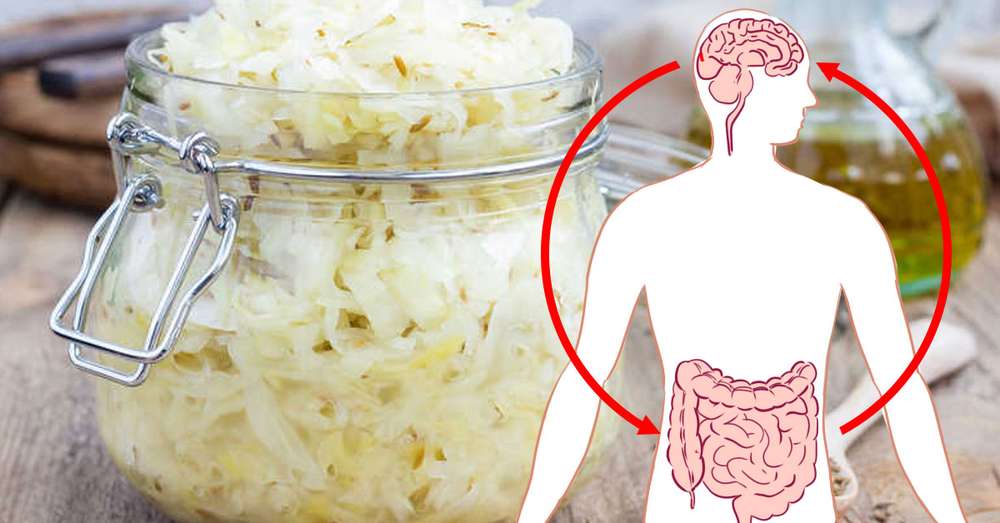 Obnovte fermentované produkty črevnej mikroflóry 3, ktoré uľahčia stovky ochorení. /  choroba