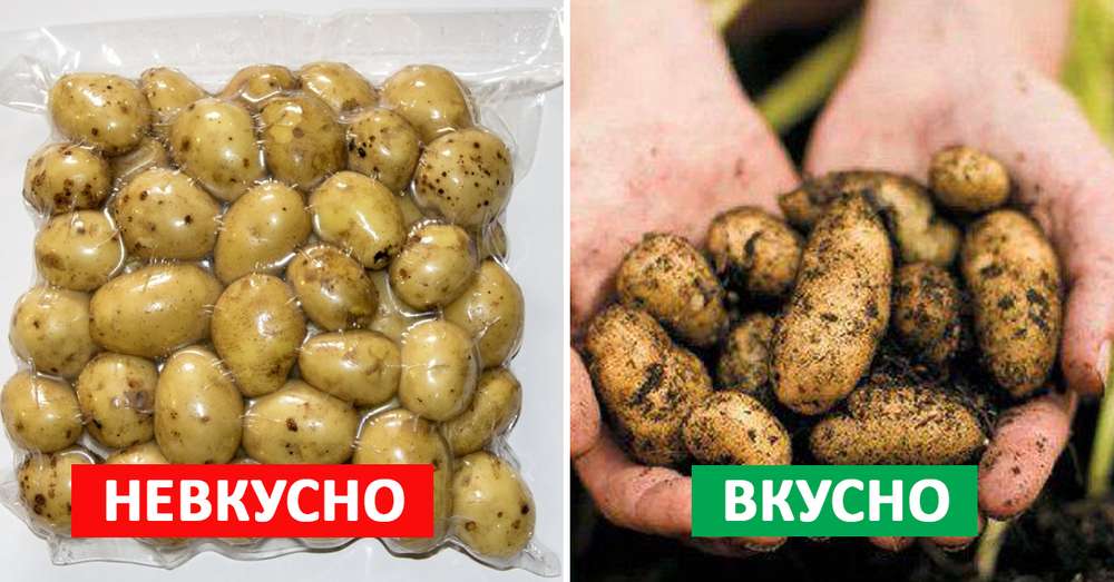 Kako odabrati novi krumpir? Ovaj trik sam učio jednog prodavatelja! /  izbor