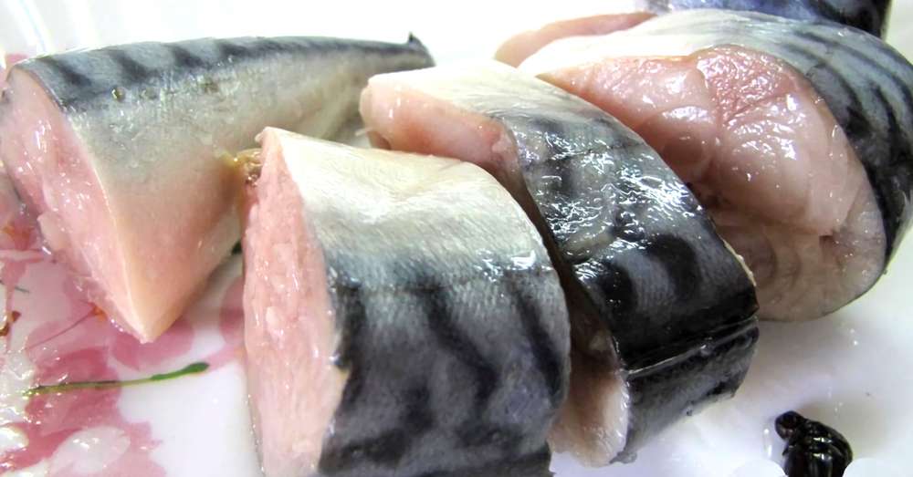 Ako variť makrely v rúre /  občerstvenie