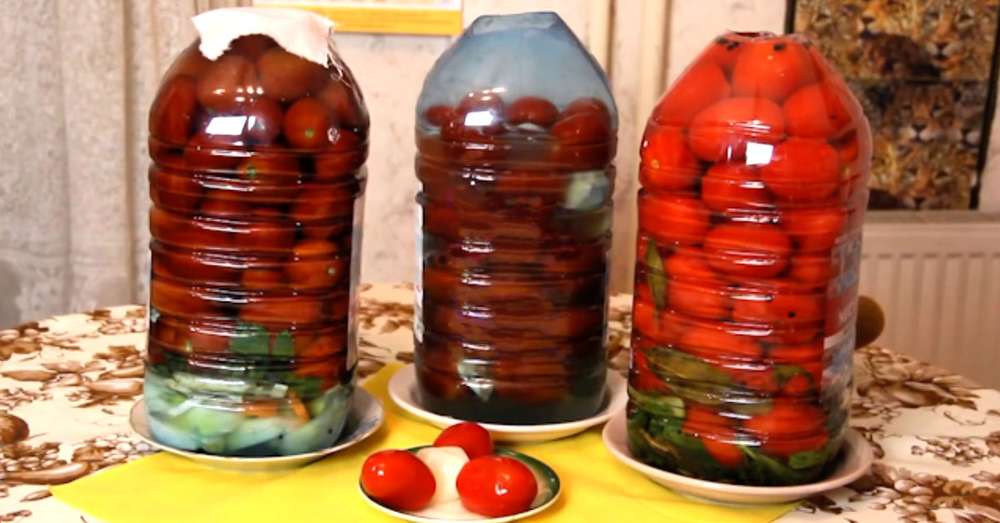 Jak fermentować pomidory w domu /  Puste