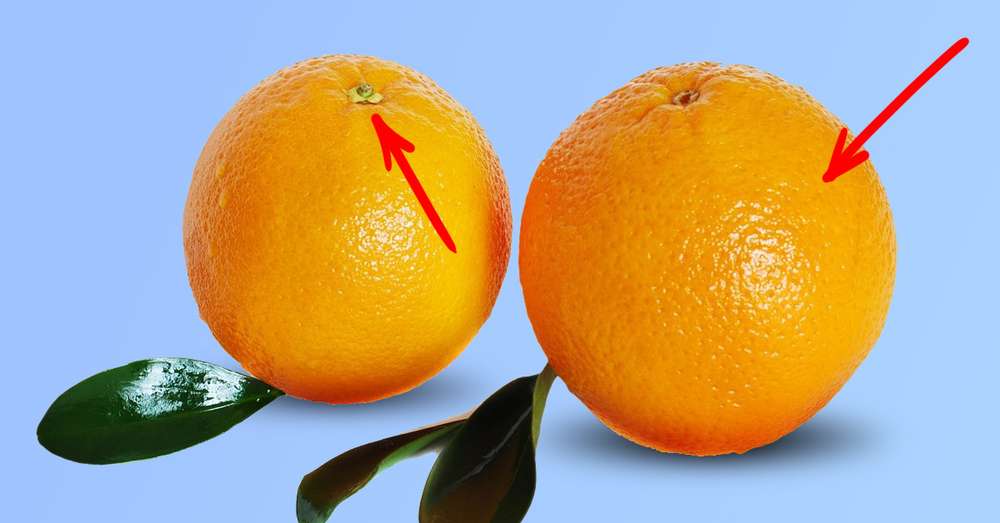 Znakovi ukusnog naranče /  naranče