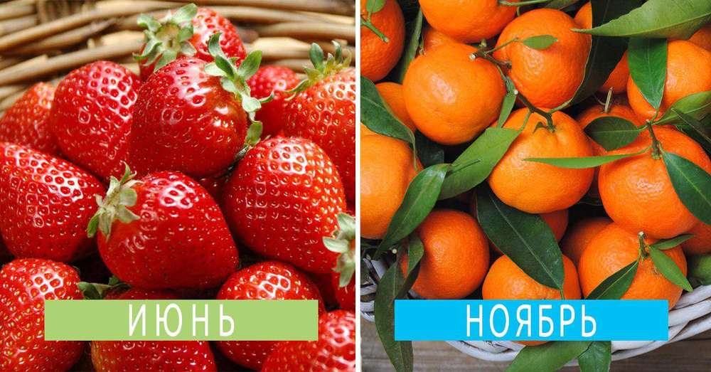 Sezónny kalendár ovocia a zeleniny, kedy a čo kúpiť. Tipy známeho dodávateľa! /  life hacking