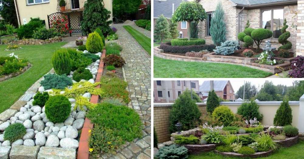 Najlepšie pohodlie! Myšlienka záhrada pre lenivých. Nemôžete sa o to postarať - rastúc sám a ako veľkolepé! /  dacha