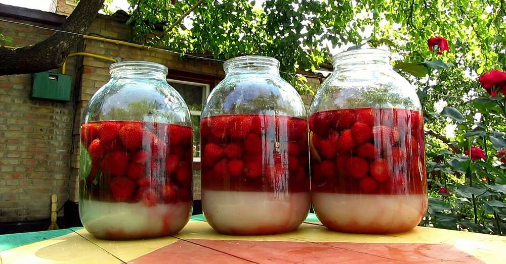 Berry likér Štyri až štyri nezabudnite otočiť nádobu /  alkohol