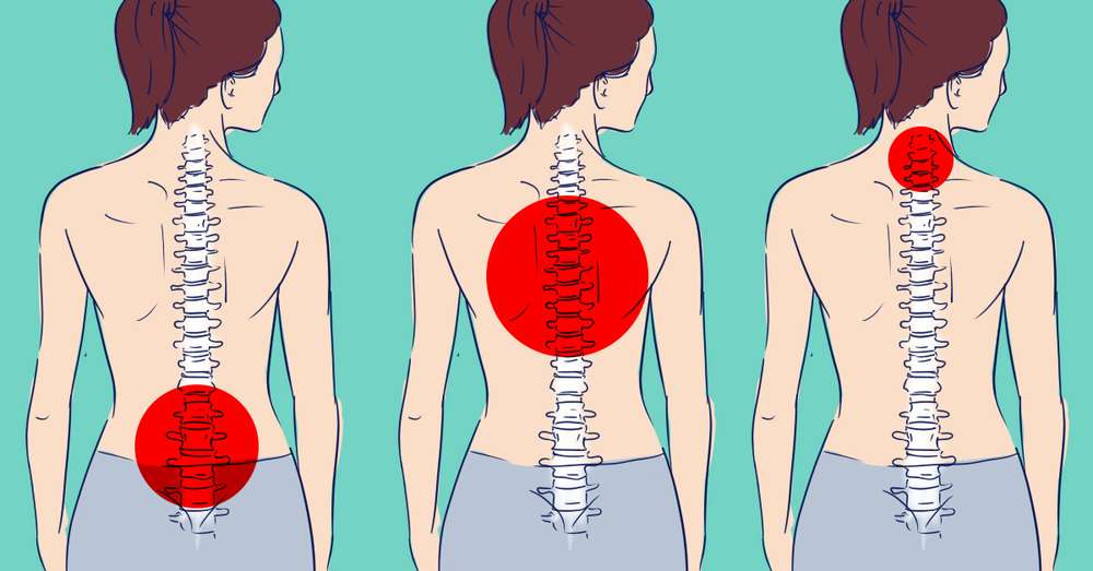 Nie możesz się wyprostować? 7 prostych ćwiczeń rozciągających zwalnia cię z bólu pleców. /  Zapobieganie