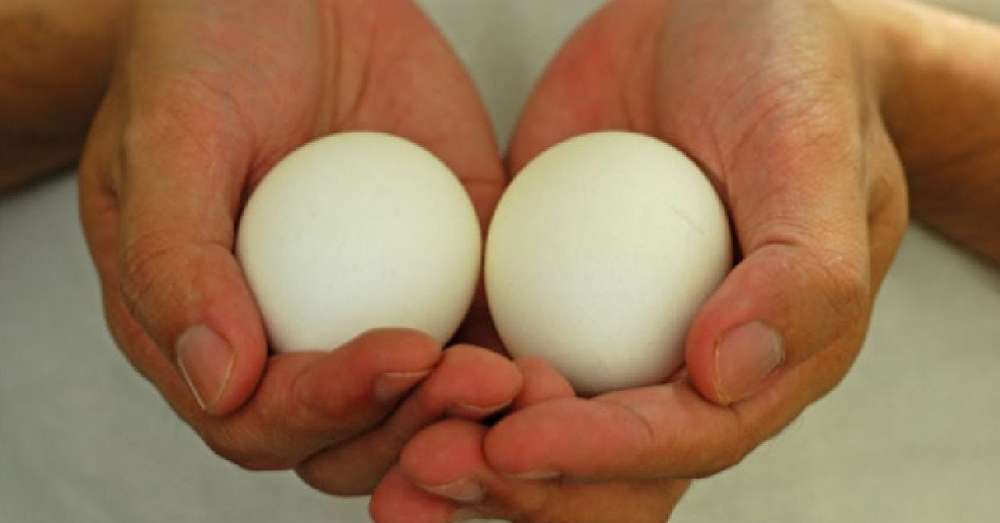 Сполучення продуктів для схуднення яйця з болгарським перцем допомагають в короткі терміни постройнеть /  дієта
