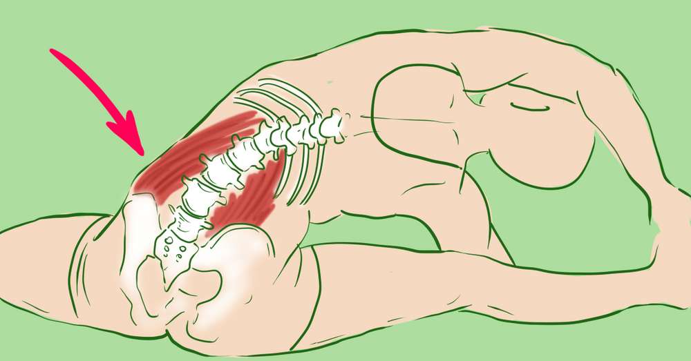 Stabilizacijo ledvene hrbtenice je tisto, kar res potrebujete! In zdrava hrbta bo ...  /  Mišice