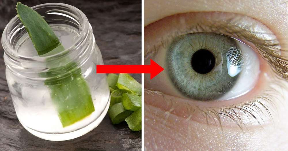10 osvedčených spôsobov, ako zlepšiť videnie. Je čas rozlúčiť sa s okuliarmi! /  Aloe vera