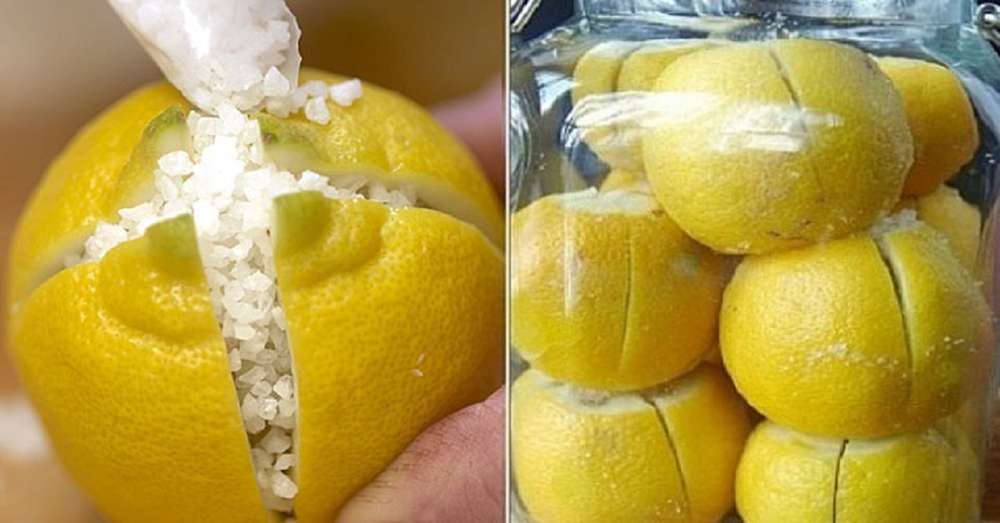 Господиня розрізала лимон і засипала його сіллю ... Побачивши результат, я зробила те ж саме! /  заготовки