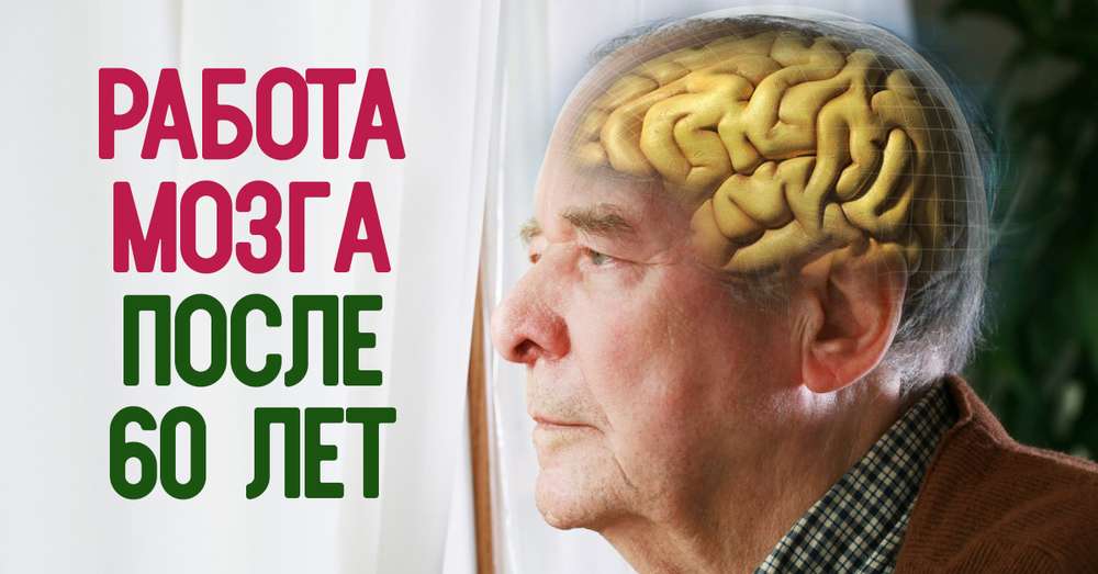 Мозок починає працювати в повну силу в віці 60-80 років! Згодом в головному мозку ... /  дослідження