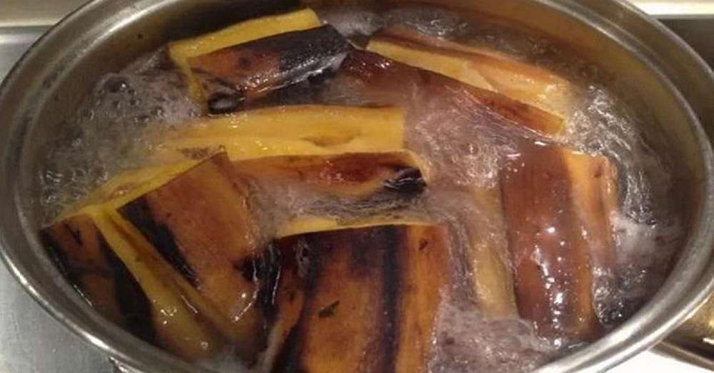 Stačí vložiť banán do vriacej vody ... Po 10 minútach si vychutnajte nápoj, ktorý praskne z liečivých minerálov! /  banány