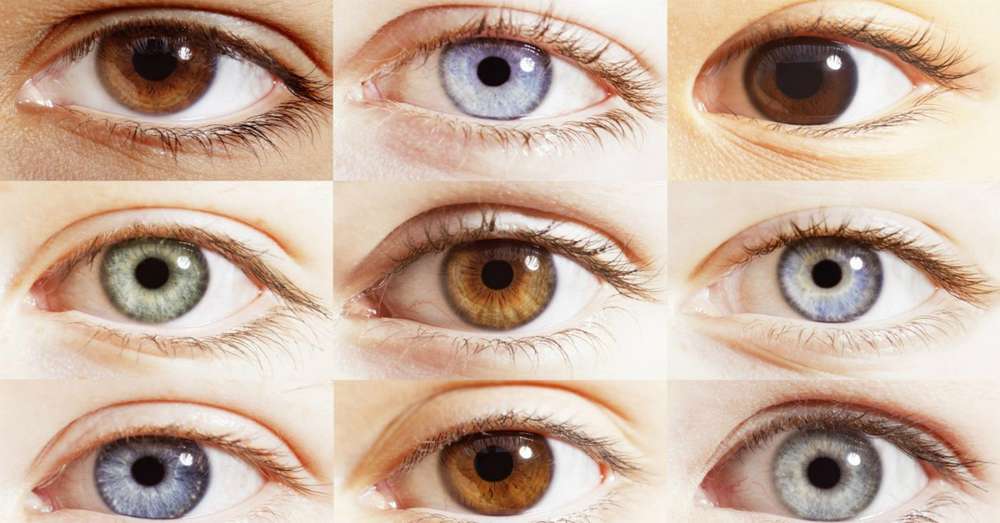 10 chladných faktov o ľudskom oku, ktoré nie sú všeobecne známe. /  oči