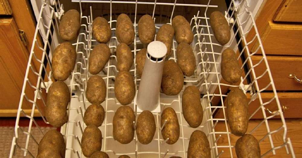 15 несподіваних предметів, які варто засунути в посудомийну машину! /  побут