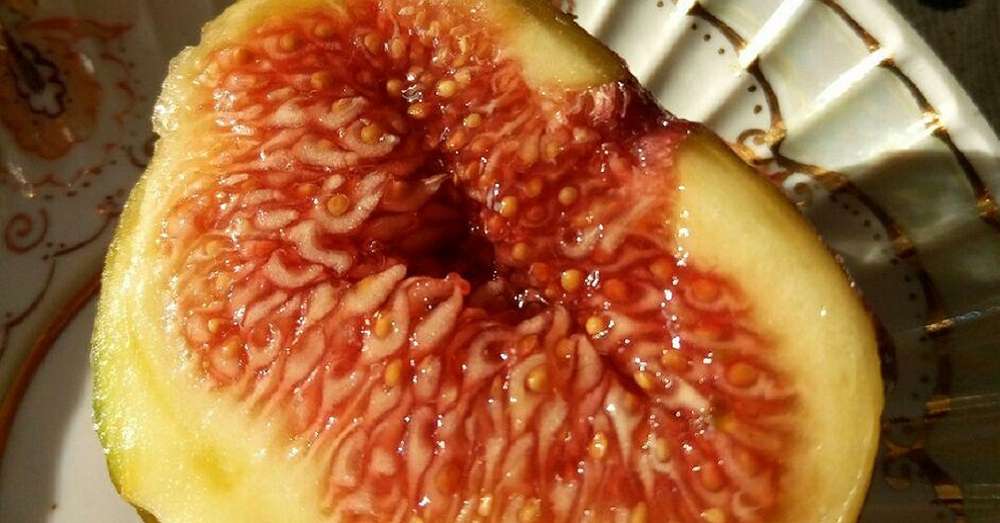 Дилер егзотичних плодова је рекао како одабрати најсвежије смокве и шта да је поједе. /  Десерти