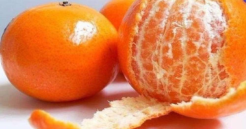 V šupke mandarínky - obrovskú silu! 7 receptov, ktoré šetria. /  choroba