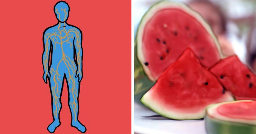 To je to, čo doktor hovorí neuveriteľný účinok melóna na krvný tlak! Nevedel som ... /  vodný melón