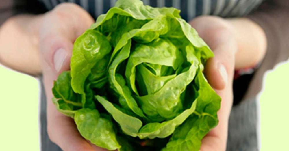 10 dokaz, da je zelena solata še posebej dobra za zdravje. /  Vitamini