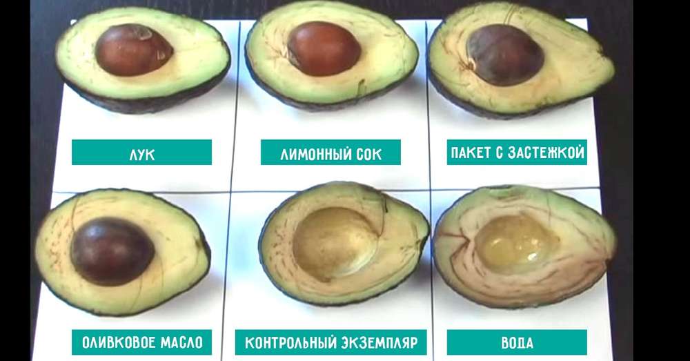 6 начина за складиштење авокада. Интересантан експеримент, чији су резултати невероватни. /  Авокадо