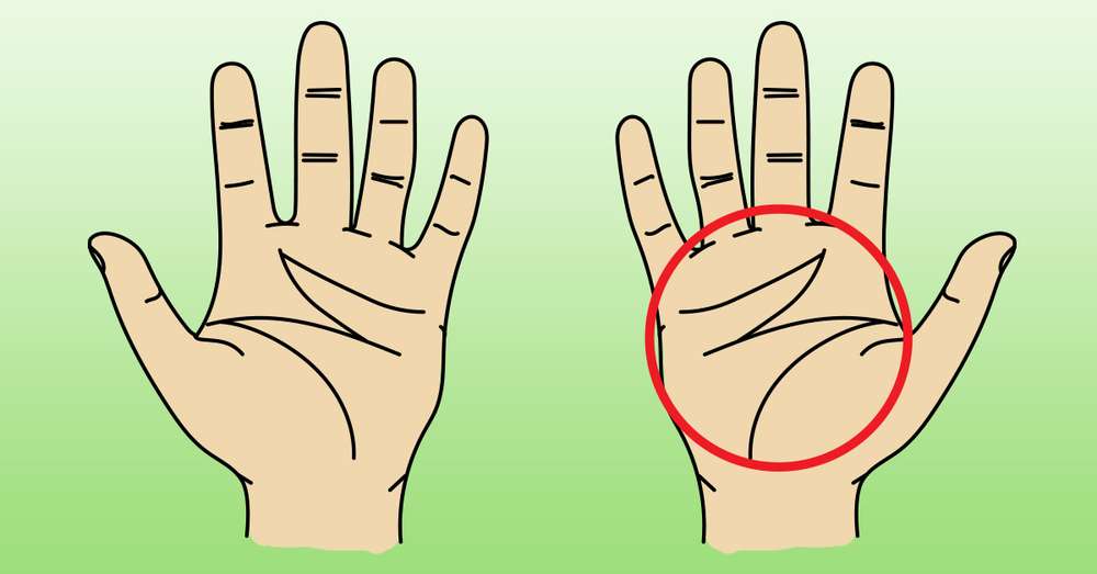 Jeśli na twojej dłoni jest ten najrzadszy znak, jesteś wyjątkowy! /  Wróżby