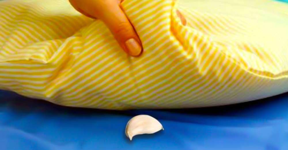 Ця жінка ховала зубчик часнику під подушку свого сина щоночі ... Причина проста! /  бактерії