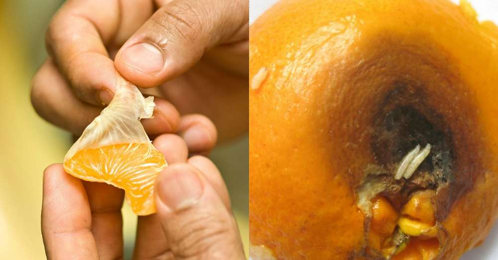 Kako izbrati mandarine skrite nevarnosti dišečega sadja. /  Tangerine
