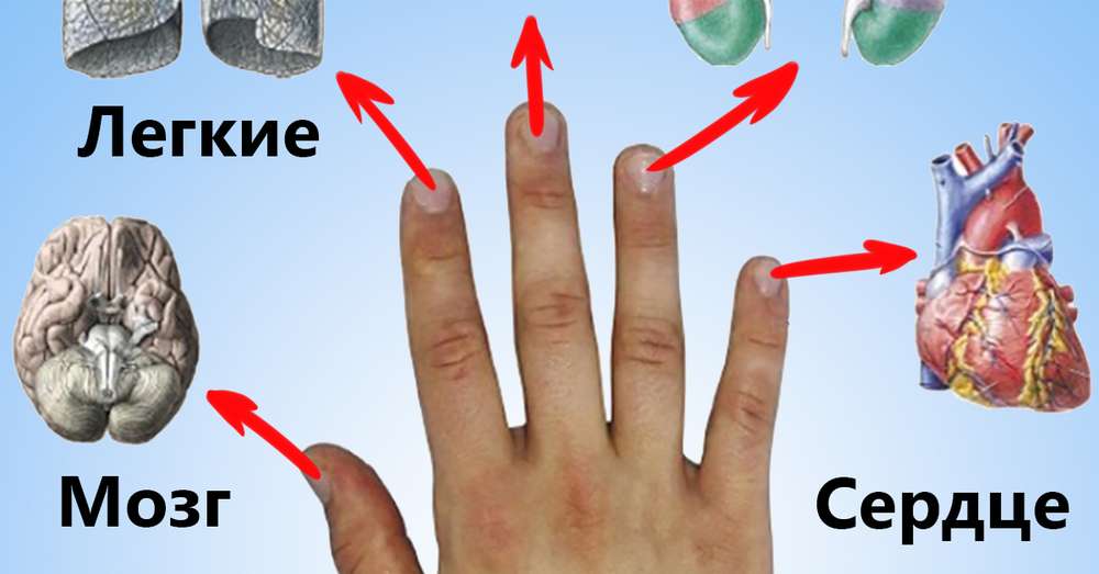 Vsak prst je seznanjen z dvema organoma. Japonska metoda bo ozdravila vsakih 5 minut! /  Appetite
