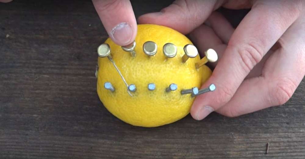 Uviazol niekoľko nechtov do citrónu a obalil ich drôtom a po chvíli sa niečo stalo! /  nápady