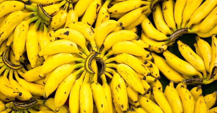 Ile bananów chcesz zjeść, by umrzeć? Szokujące liczby! /  Banany