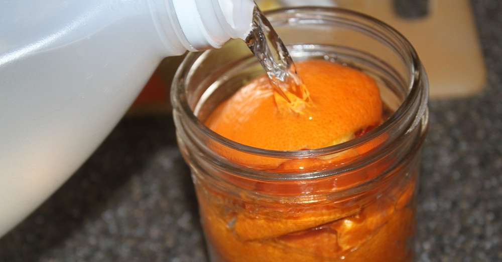 Карколомний запах і вражаюча чистота в будинку апельсиновий оцет. /  апельсини