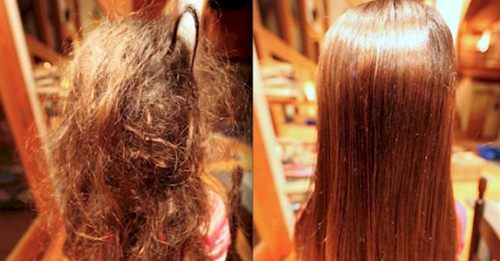 Zbawienie dla splątanych włosów jest narzędziem, które można łatwo zrobić własnymi rękami. /  Aloe vera