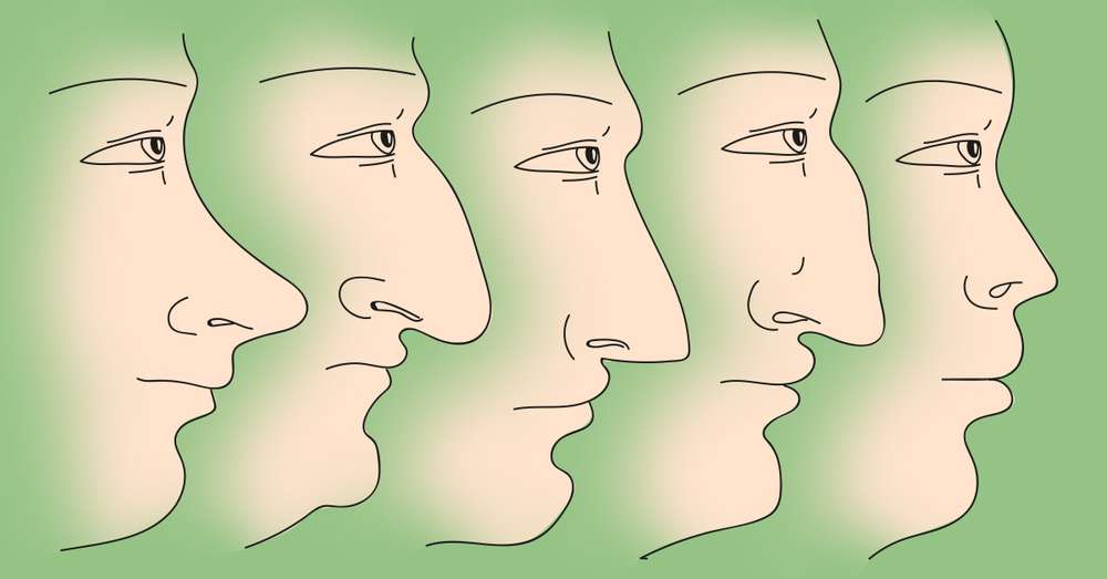 То вам облик носа може рећи о вашем карактеру! /  Лице