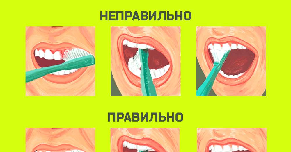 Все життя ти чистив зуби неправильно! Завдяки цій схемі все змінюється ... /  зуби