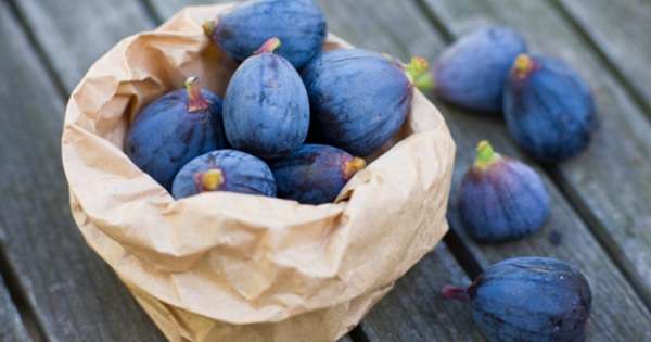 10 terapevtskih lastnosti fig. Koristi in okus, kar je nemogoče izraziti z besedami! /  Imuniteta