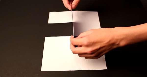 10 трюків з папером, які припадуть до душі не лише дітям, а й дорослим. Зробити їх дуже просто! /  папір