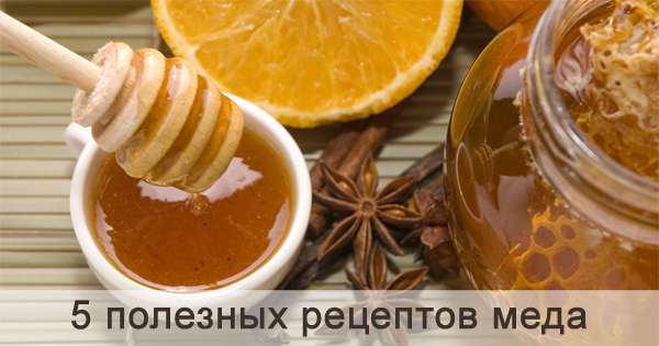 5 цілющих рецептів меду для здорового способу життя. Чудо в банку! /  мед