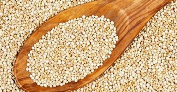 5 korisnih svojstava quinoa. Zato se ta zrna vrijedi posvetiti pažnji ... /  usjevi
