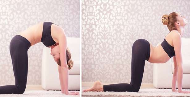 7 yoga poza za početničke vježbe koje leže na putu do majstorstva! /  joga