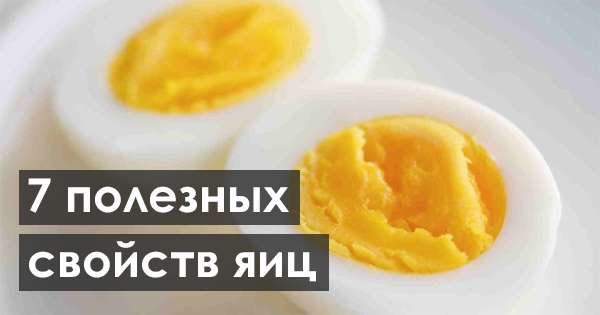 7 дивно корисних властивостей яєць, про які мало хто знає. Вживай їх щодня! /  зір