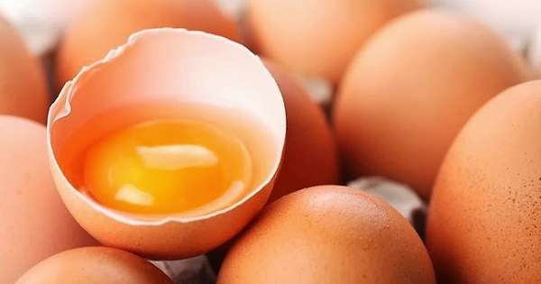 Найбагатший джерело життєво важливих елементів користь яєчного жовтка для організму. /  вітаміни