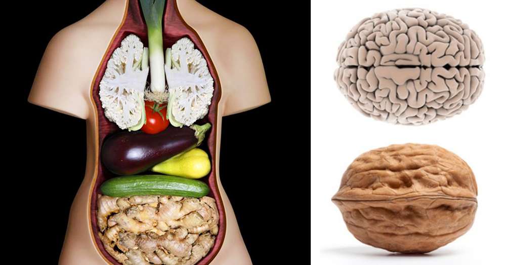 Te 9 vrst hrane namerno delujejo na organe, s katerimi imajo podobnosti! /  Vino