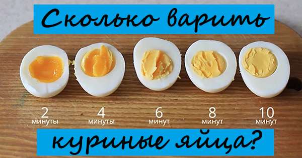 Одличан експеримент, након чега ћете тачно знати колико јаја вам треба за кухање! /  Јаја