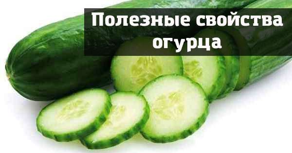 Ohromujúce fakty o uhorku, po ktorej sa známa zelenina stane obľúbenou v kuchyni! /  zelenina