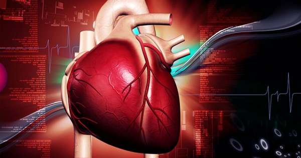 Senzacionalno odkritje! Znanstveniki so pokazali, da holesterol ne vpliva na kardiovaskularni sistem. /  Moč