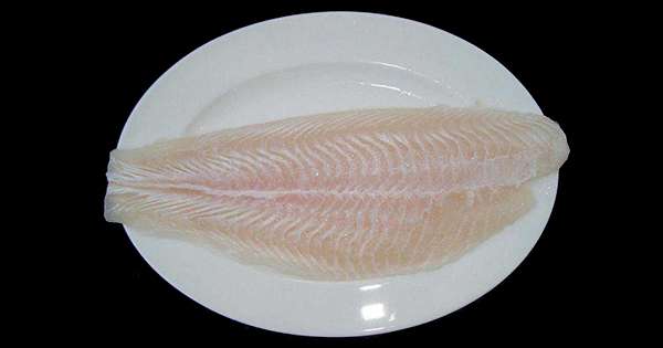 Шокантна истина о рибама пангазија. Биће вам запрепашћено научити колико је опасно за ваше здравље! /  Знање